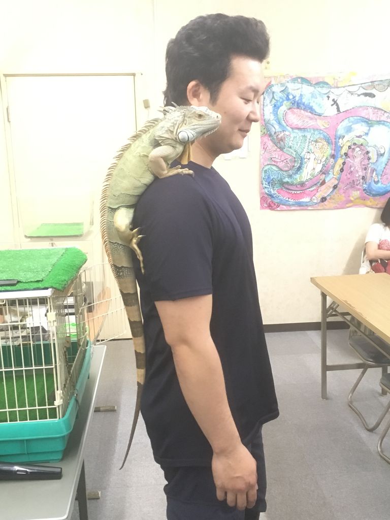 俺と裏せーばなるの裏 俺教 身の程知らずにさりげなく