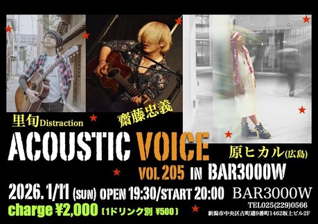 �����ܥ�205