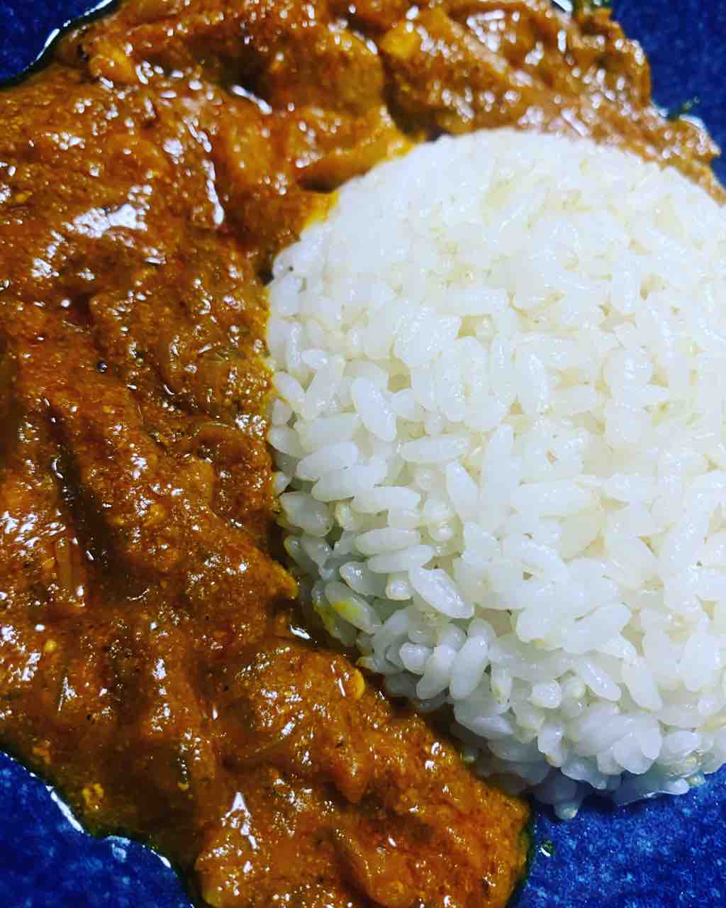 9月3日に出す ジンジャーポークカレー Satellite5529のblog