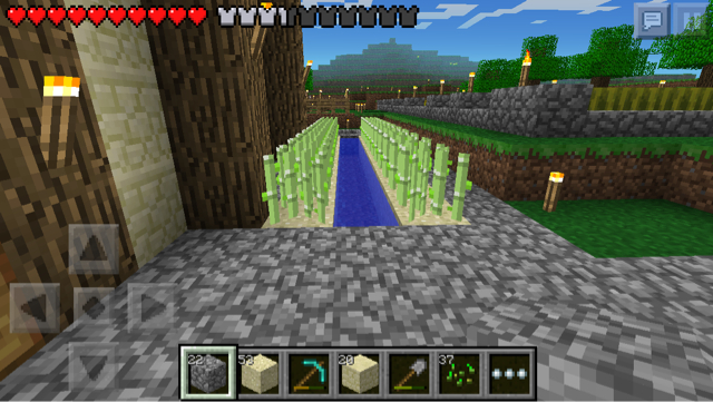 Mcpe仮サトウキビ畑 いいセンスなマイクラpe日記 Mcpe仮サトウキビ畑 いいセンスなマイクラpe日記