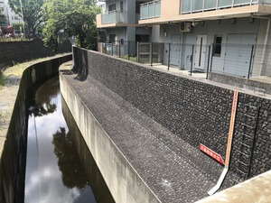 2019��5.14��ë�� (10)