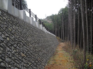 1�����ĸ���������ƻ��NR���� (6)