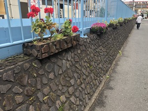 2019.5.14Ω���� (5)