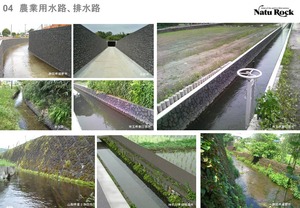 ���饤��12