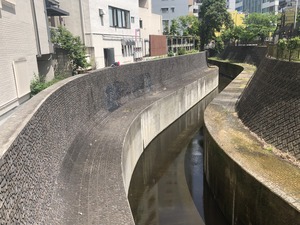 2019��5.14��ë�� (4)