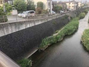 2019.5. 19 ������ (19)