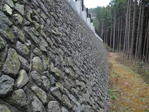 1�����ĸ���������ƻ��NR���� (5)