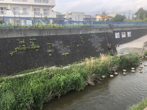 2019.5. 19 ������ (15)