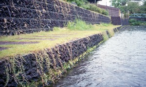 8486��1996,9���Ų�������Ը�ʼ���NR�ϴ䡡 (17) - ���ԡ�