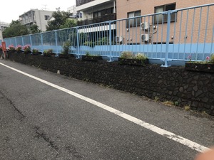 2019.5.14Ω���� (11)