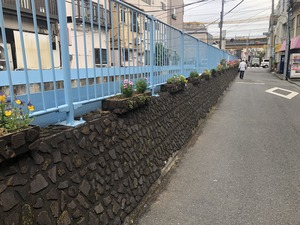 2019.5.14Ω���� (6)