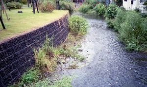 8486��1996,9���Ų�������Ը�ʼ���NR�ϴ䡡 (12)