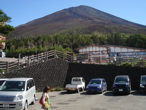 11�� �������ٻλ�5���ܤ��飱���ܡ�NR�ϴ䡡���ɱ��� (55)