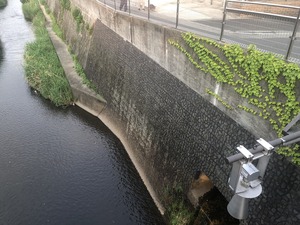 2019.5. 19 ������ (16)