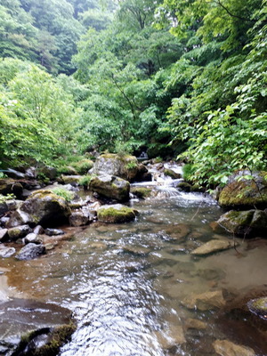 20190531_131140