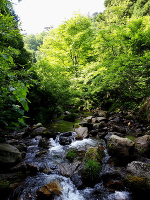 20190601_082226