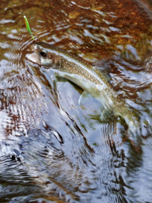 20190602_134522(0)