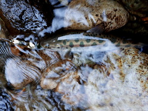 20190602_074608