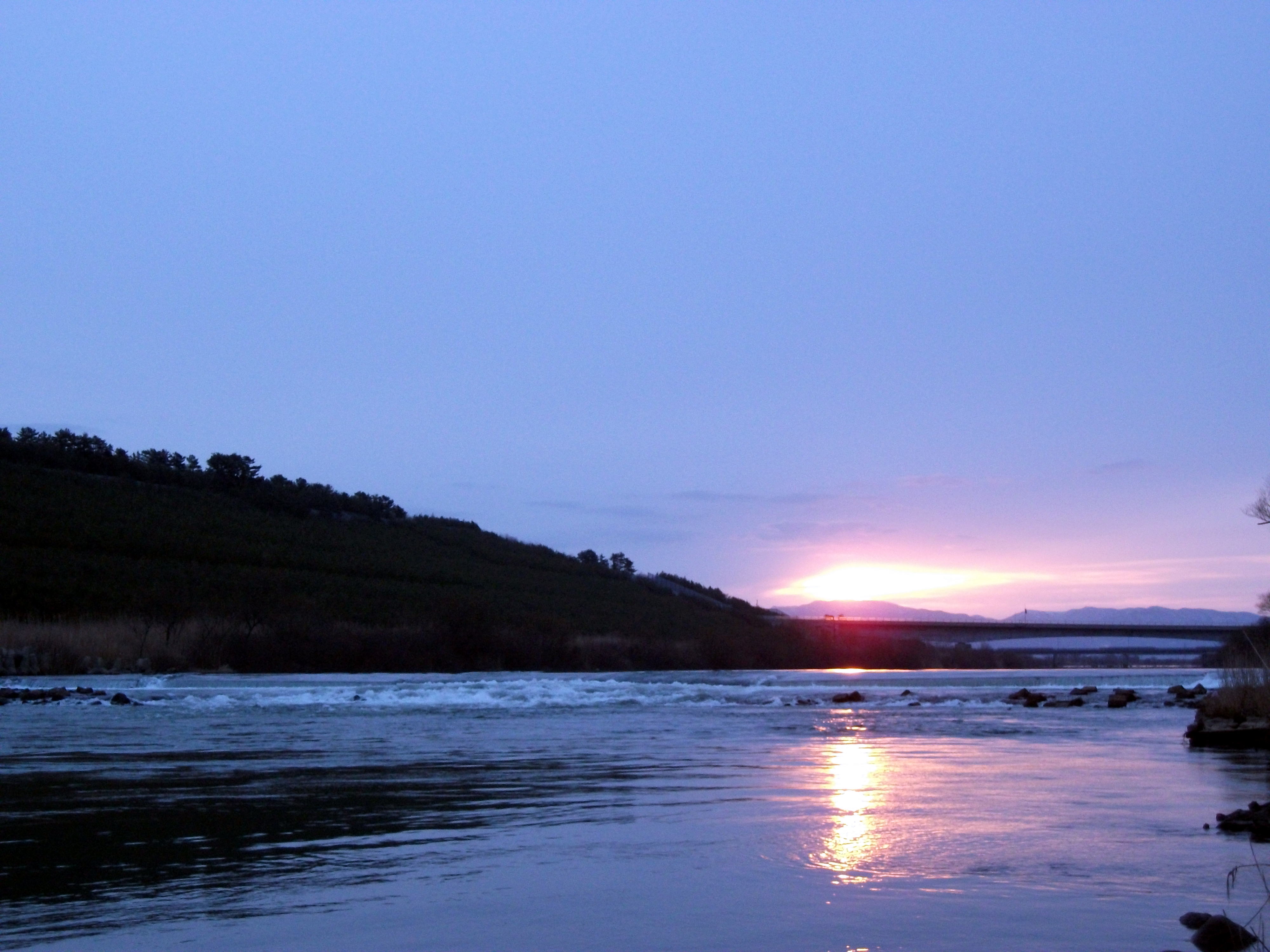 サクラマス釣り 最上川 赤川 サトウ オリジナル 気まぐれブログ