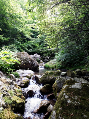 20190531_081517