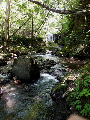 20190601_120123