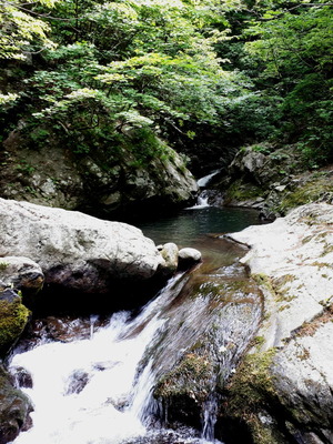 20190531_090733