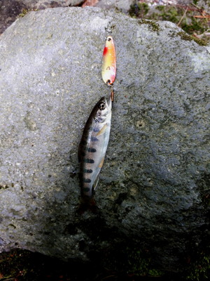 20190531_083316