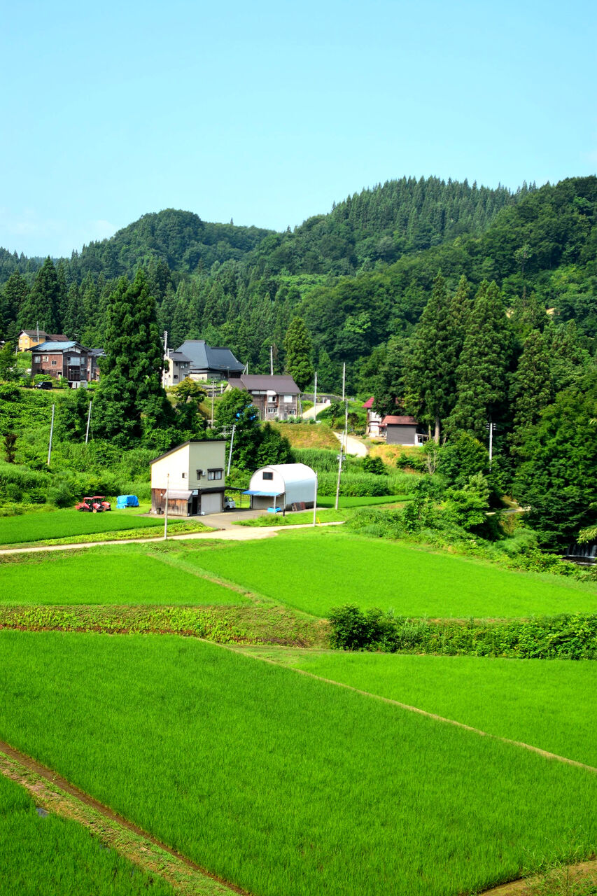 ふるさとの風景・・・棚田の里 : 故郷