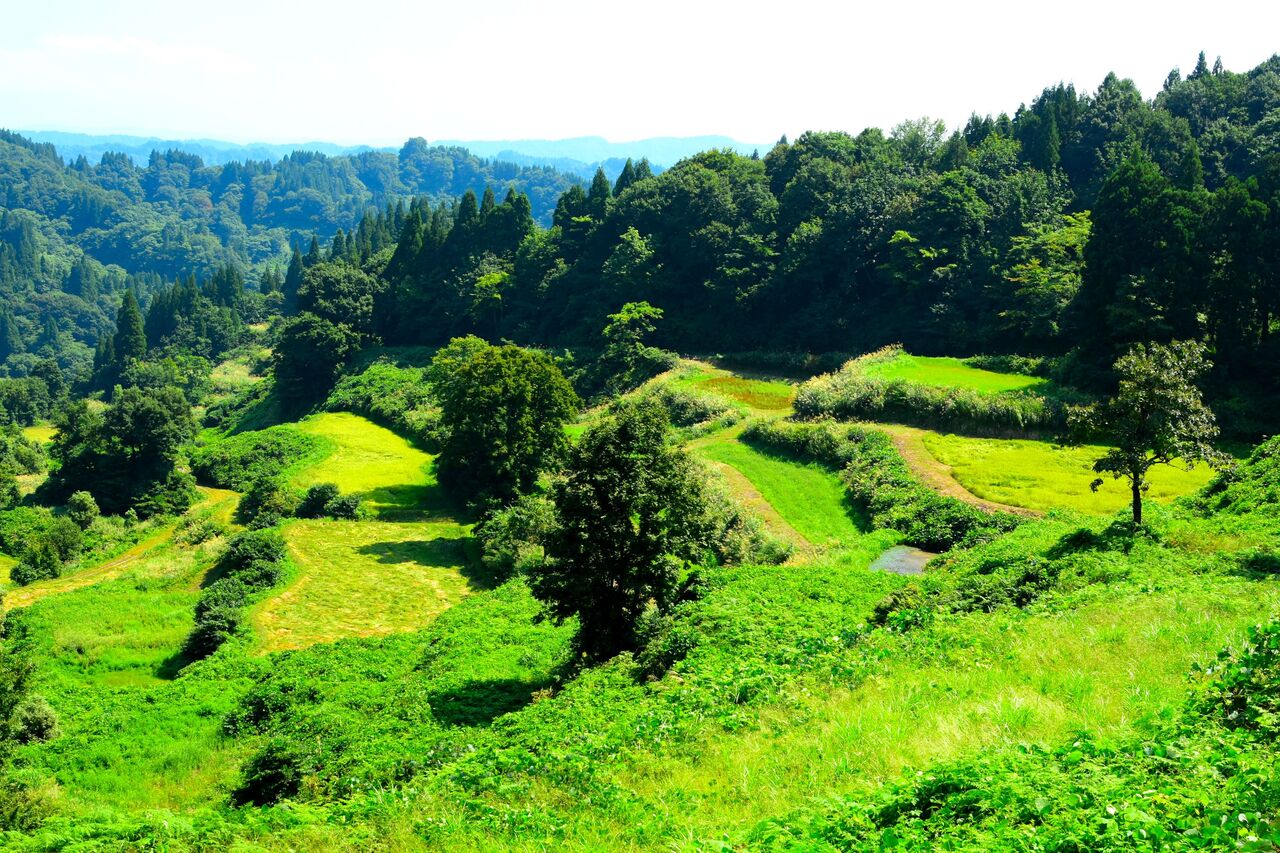 ふるさとの風景・・・棚田の里 : 故郷
