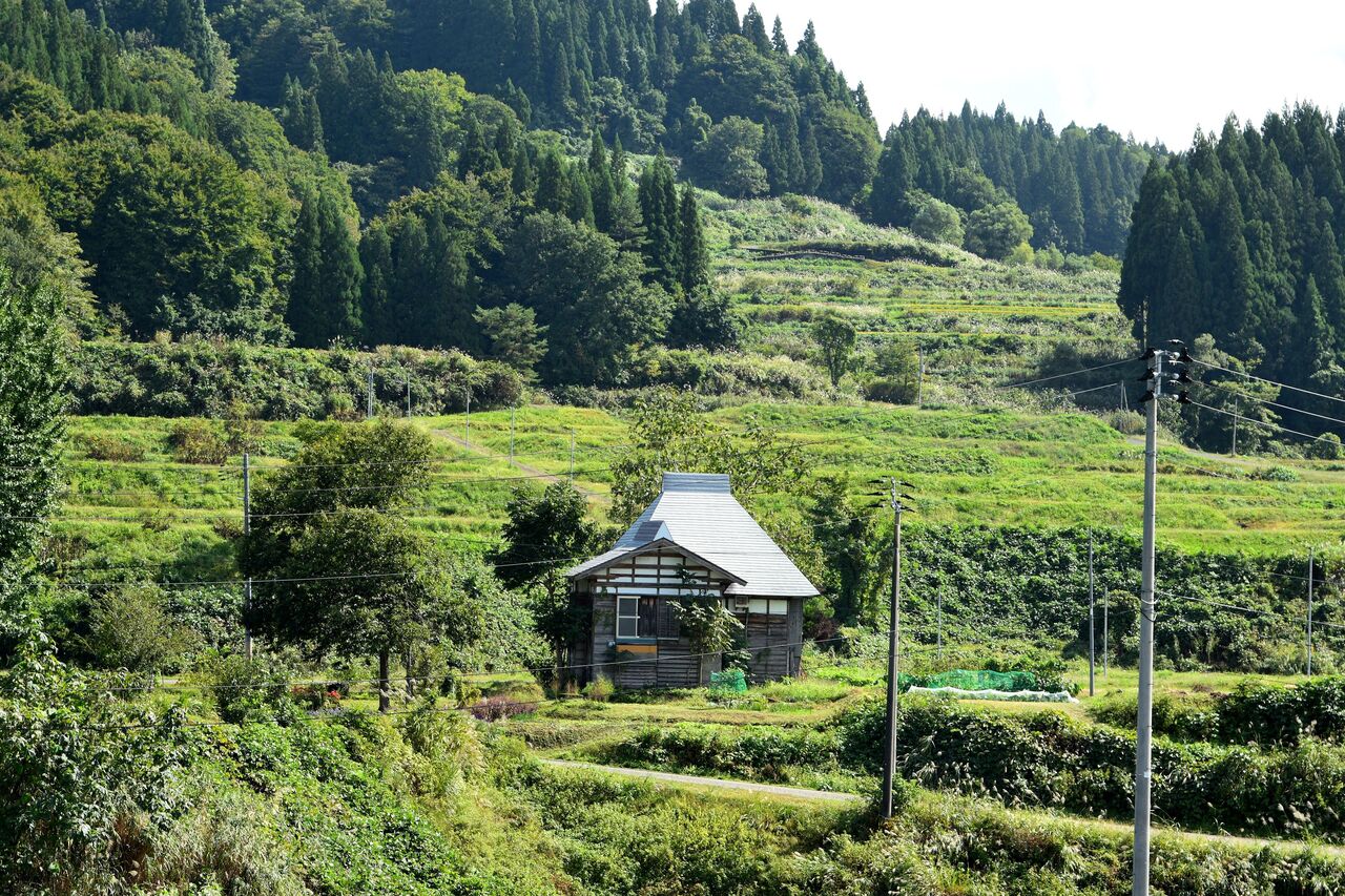 ふるさとの風景・・・棚田の里 : 故郷