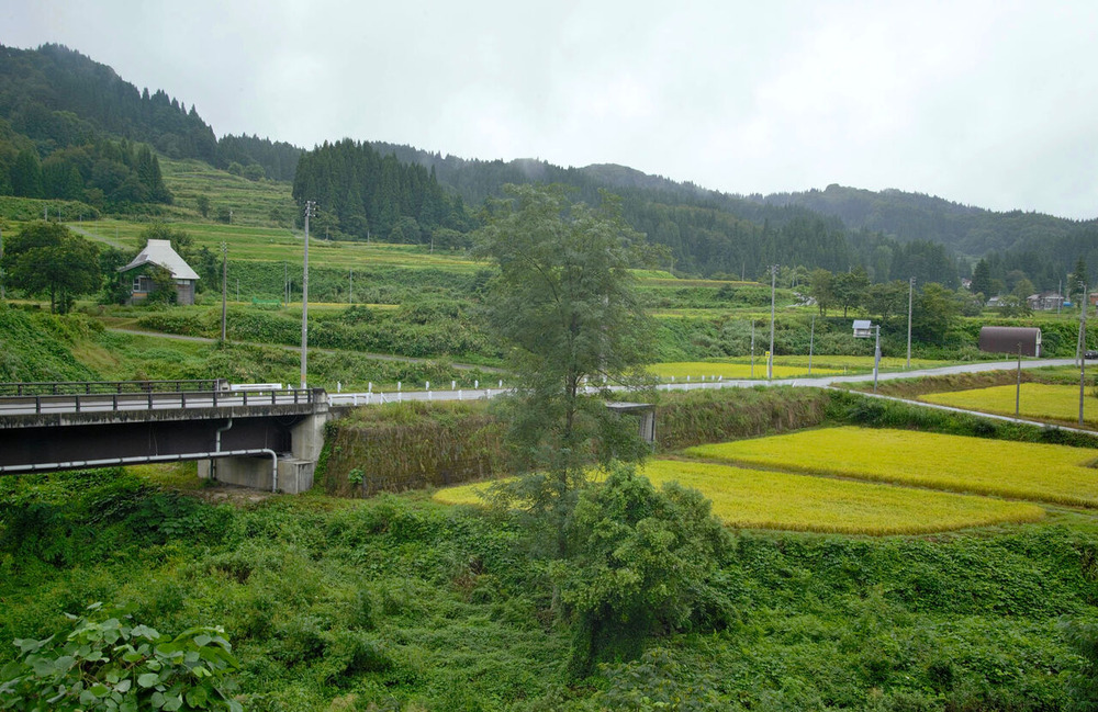 ふるさとの風景・・・棚田の里 : 故郷