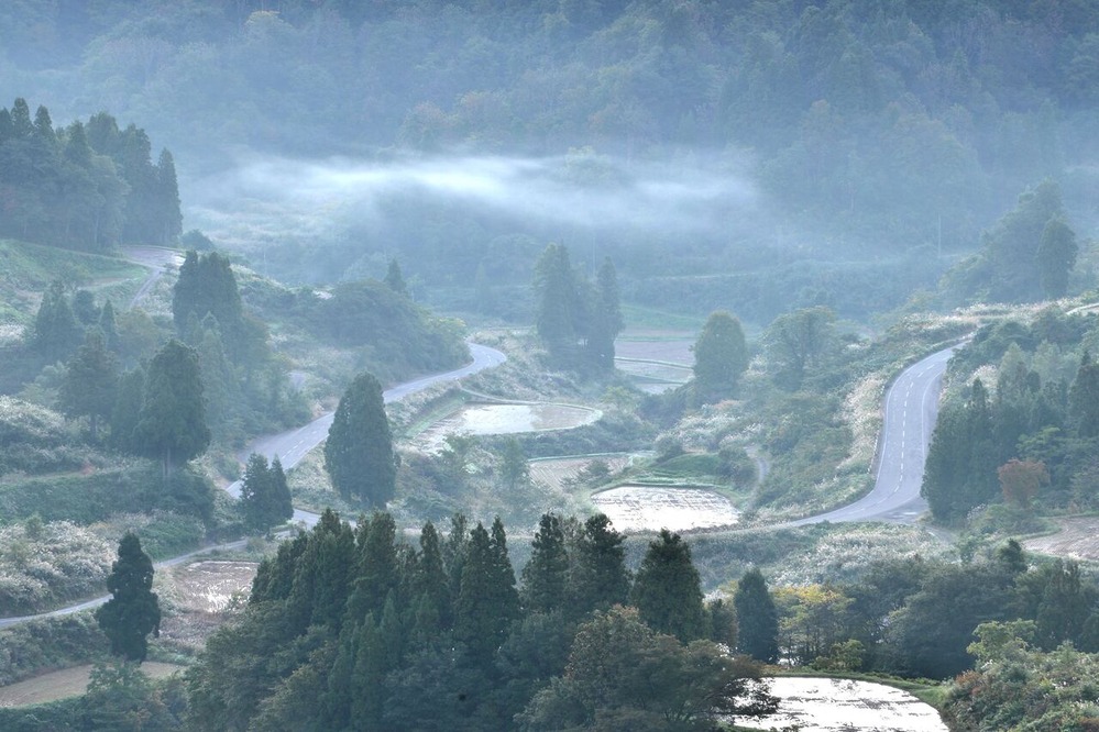ふるさとの風景・・・棚田の里 : 故郷