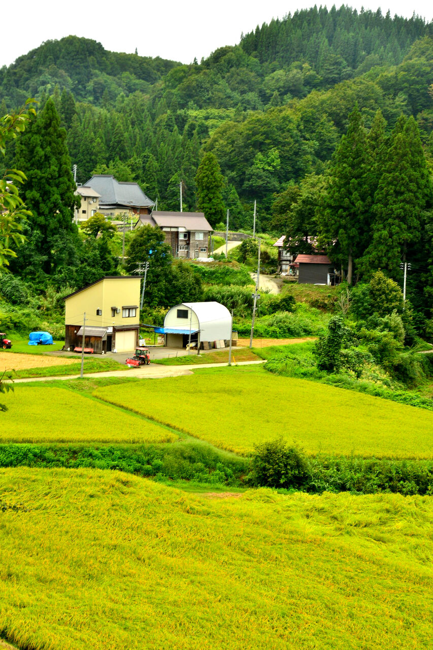 ふるさとの風景・・・棚田の里 : 故郷