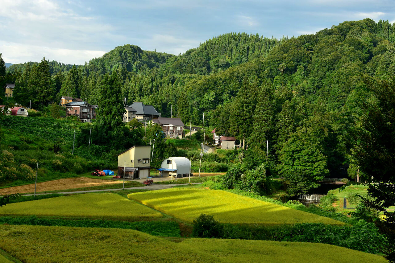 ふるさとの風景・・・棚田の里 : 故郷
