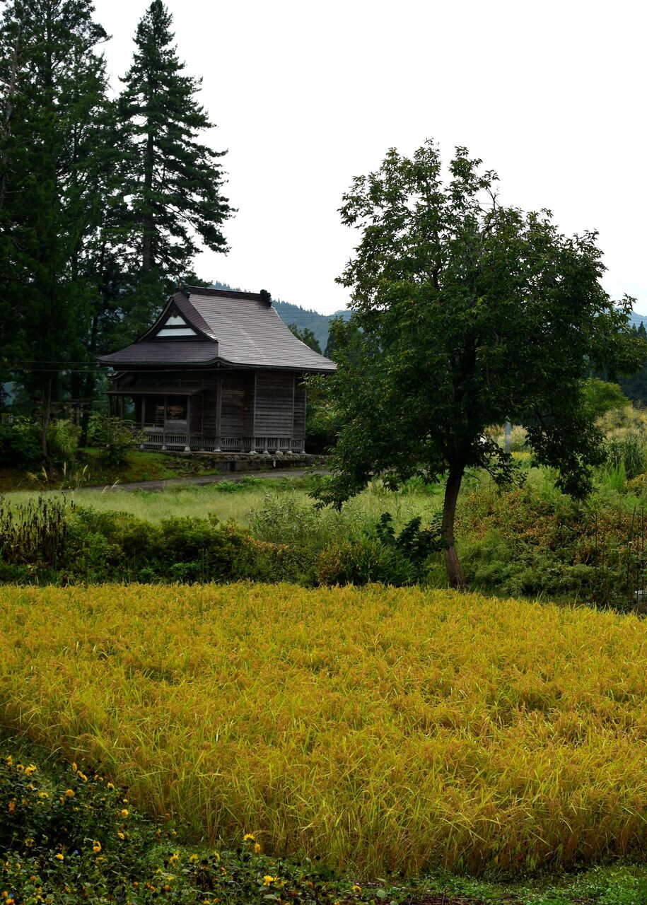 ふるさとの風景・・・棚田の里 : 故郷