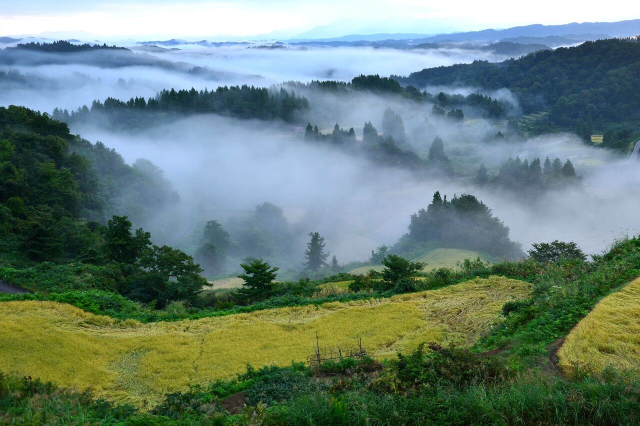 ふるさとの風景・・・棚田の里 : 故郷