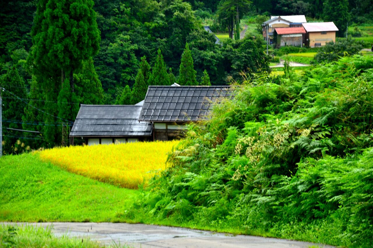 ふるさとの風景・・・棚田の里 : 故郷