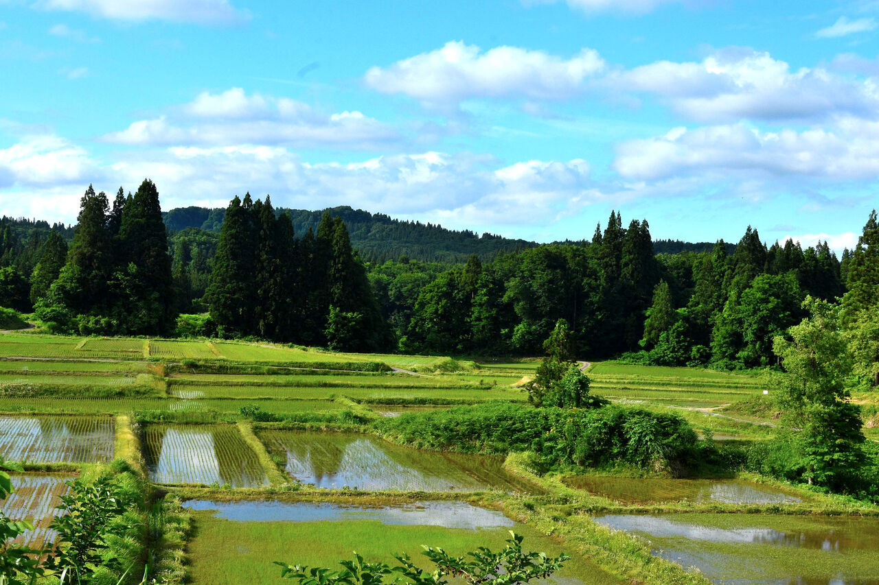 ふるさとの風景・・・棚田の里 : 故郷