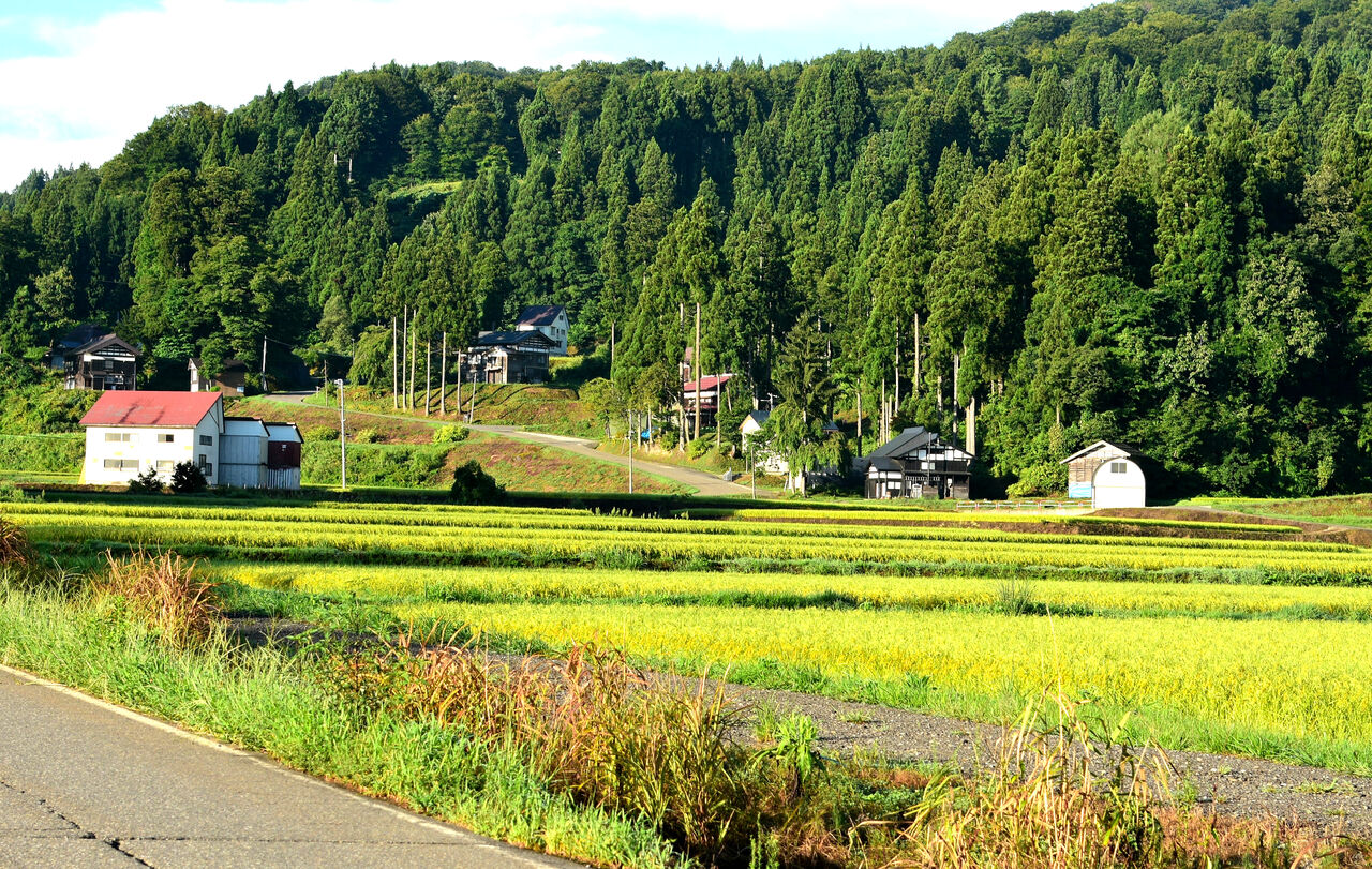 ふるさとの風景・・・棚田の里 : 故郷