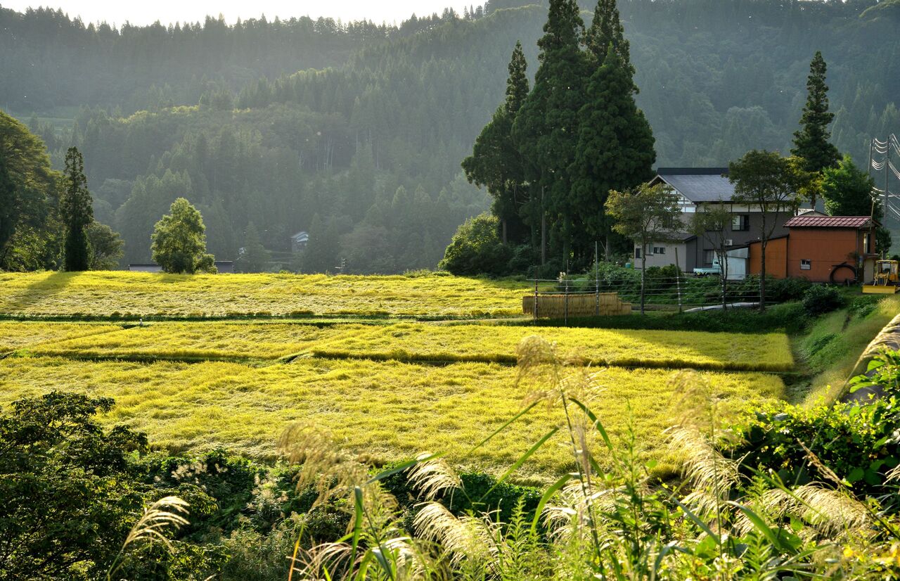 ふるさとの風景・・・棚田の里 : 故郷