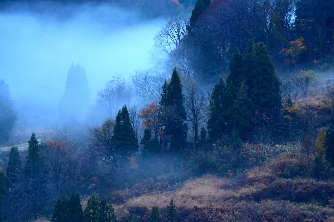 ふるさとの風景・・・棚田の里 : 故郷
