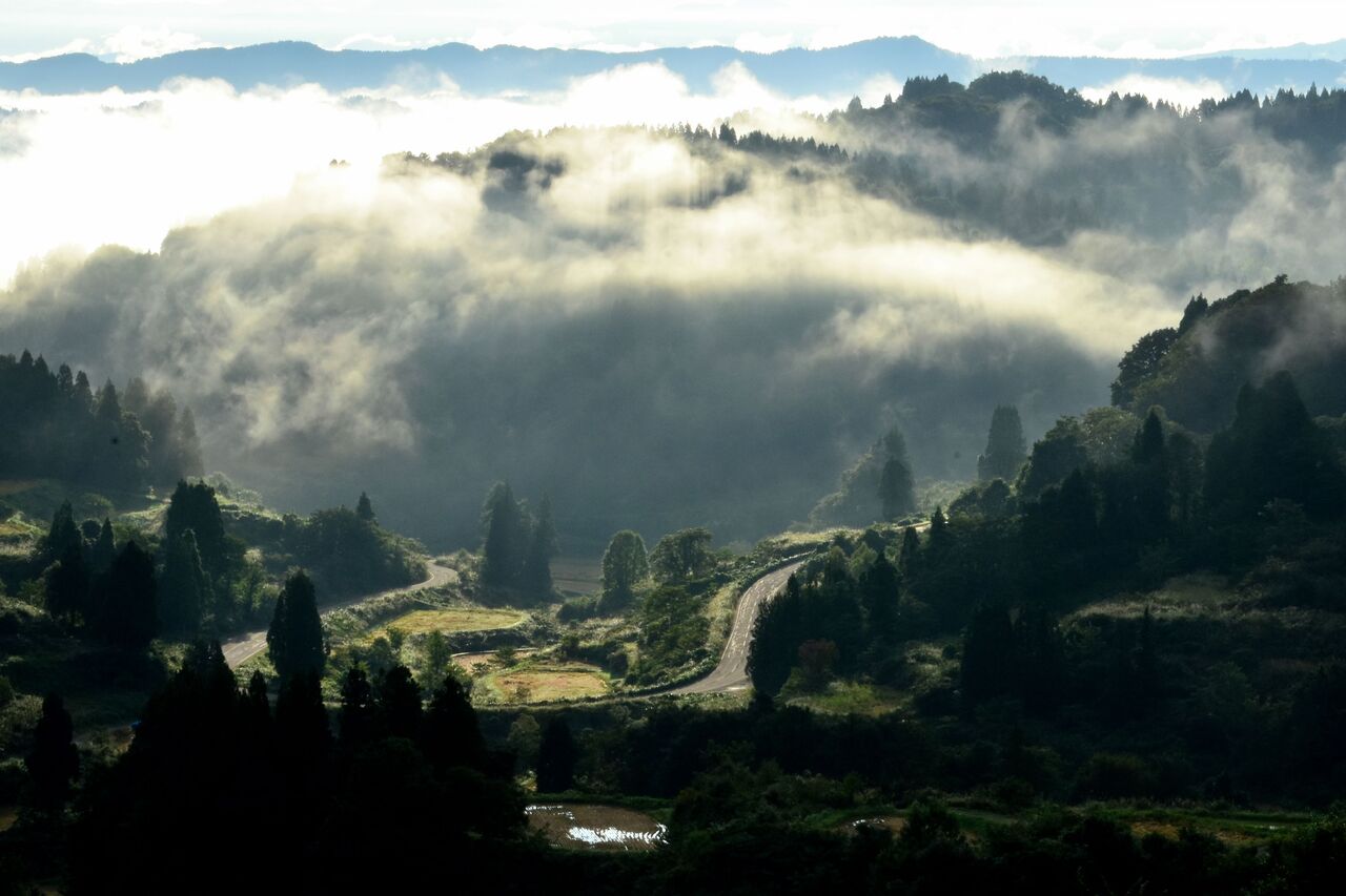 ふるさとの風景・・・棚田の里 : 故郷