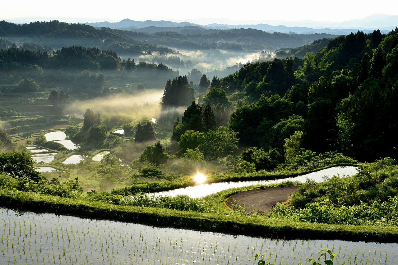 ふるさとの風景・・・棚田の里 : 故郷