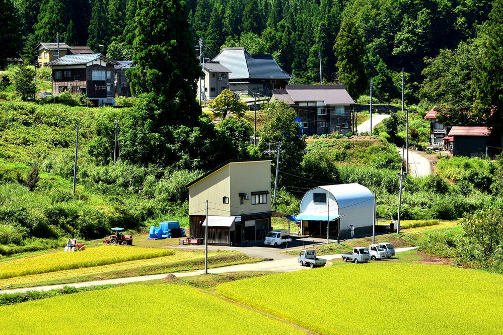 ふるさとの風景・・・棚田の里 : 故郷