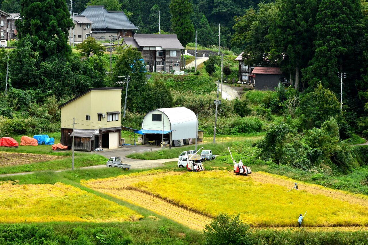 ふるさとの風景・・・棚田の里 : 故郷