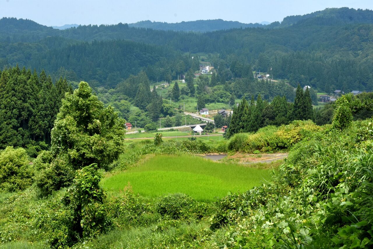 ふるさとの風景・・・棚田の里 : 故郷