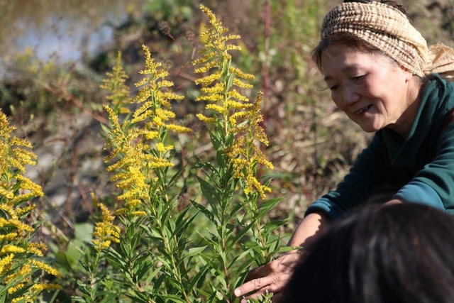 雑草キッチンフィールド_221108_15