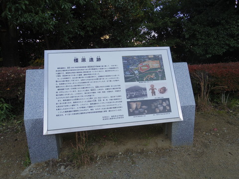 IMGP2622