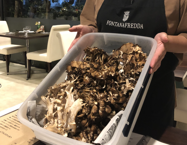 野村さんきのこ