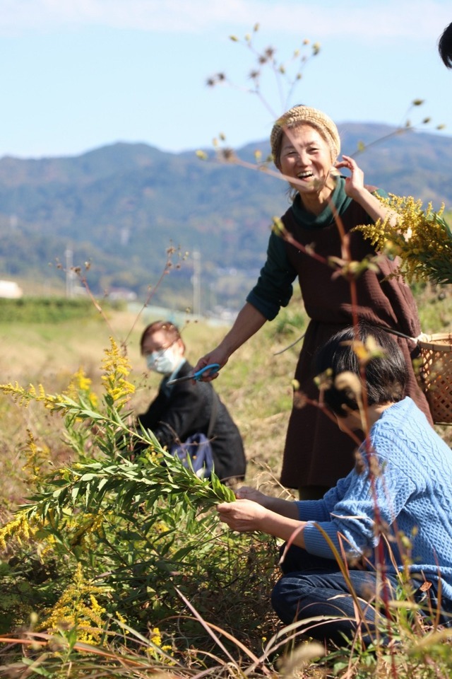 雑草キッチンフィールド_221108_14